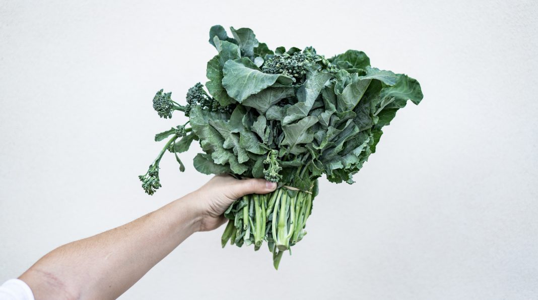 Kto to jest intendent? pid.edu.pl