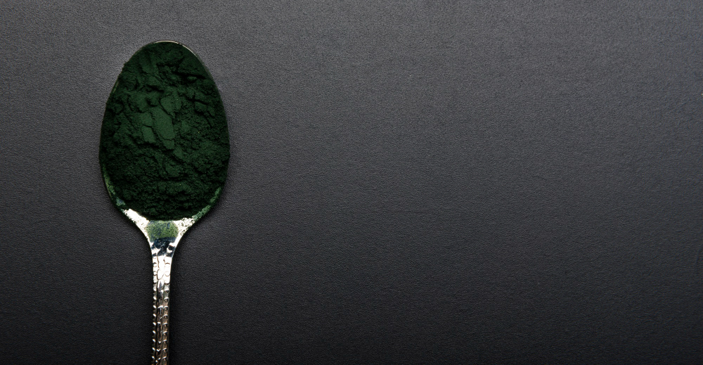 chlorella co to jest